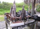 DSCN1314.jpg